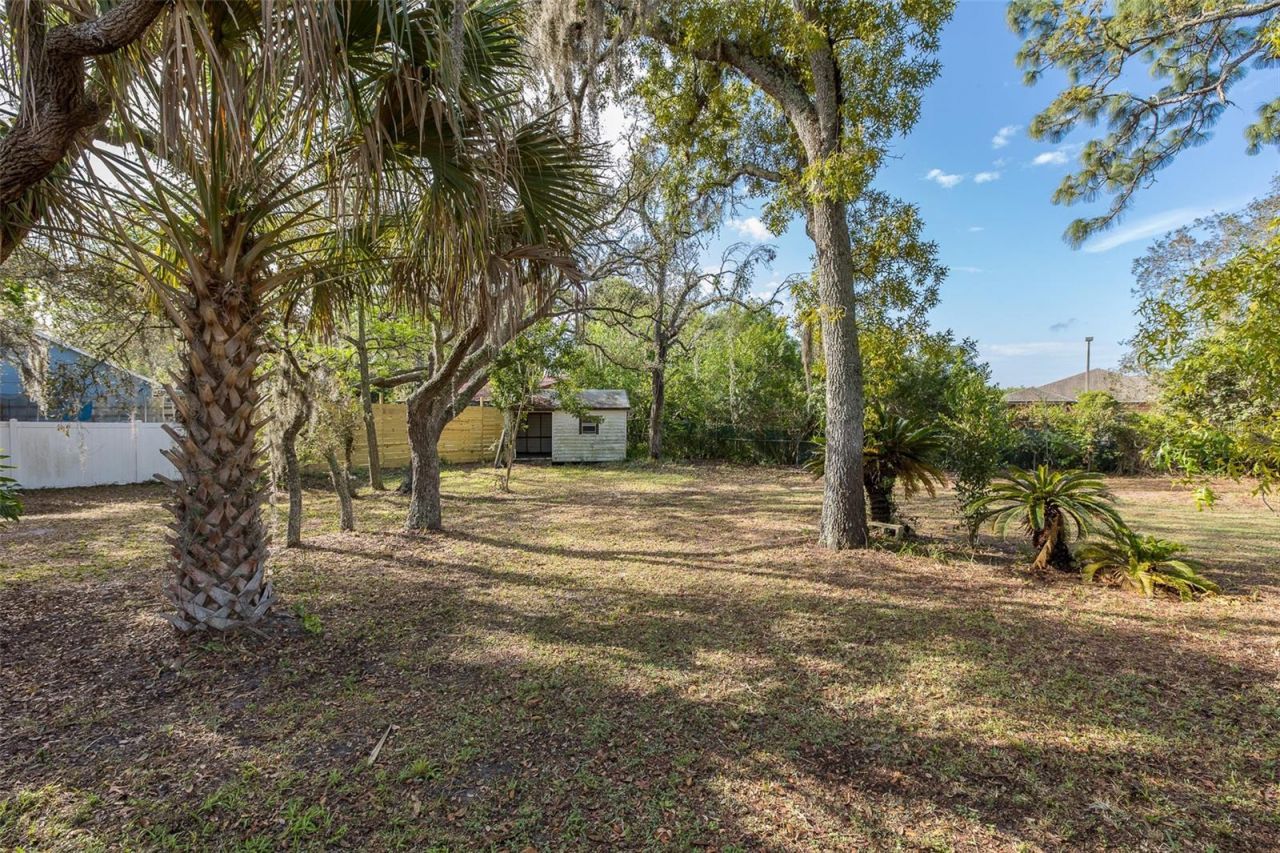 9947 Grove Drive, New Port Richey, FL 34654 Photo