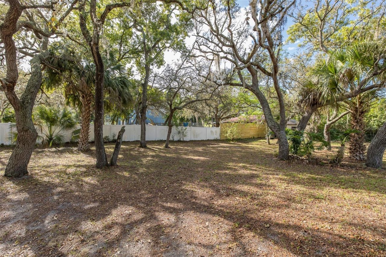 9947 Grove Drive, New Port Richey, FL 34654 Photo