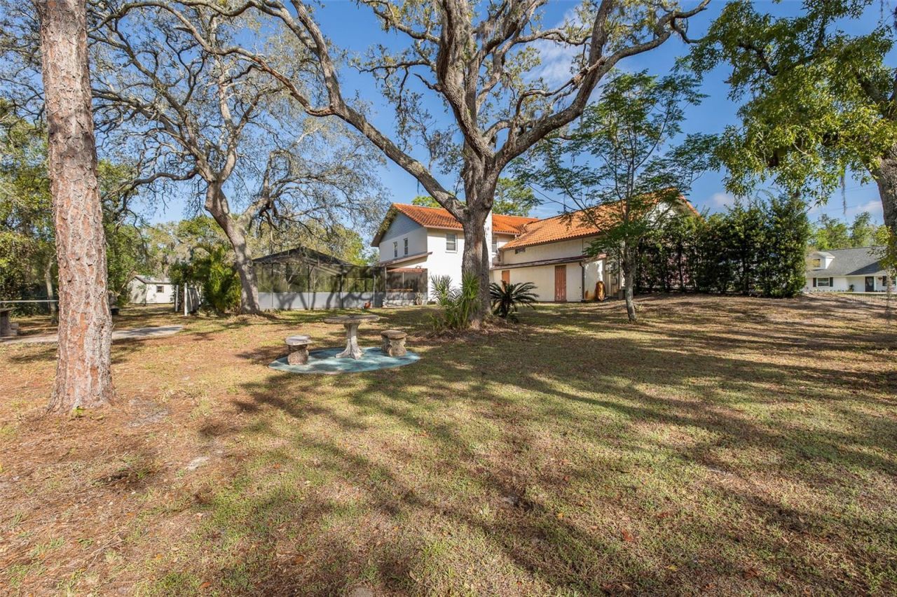 9947 Grove Drive, New Port Richey, FL 34654 Photo