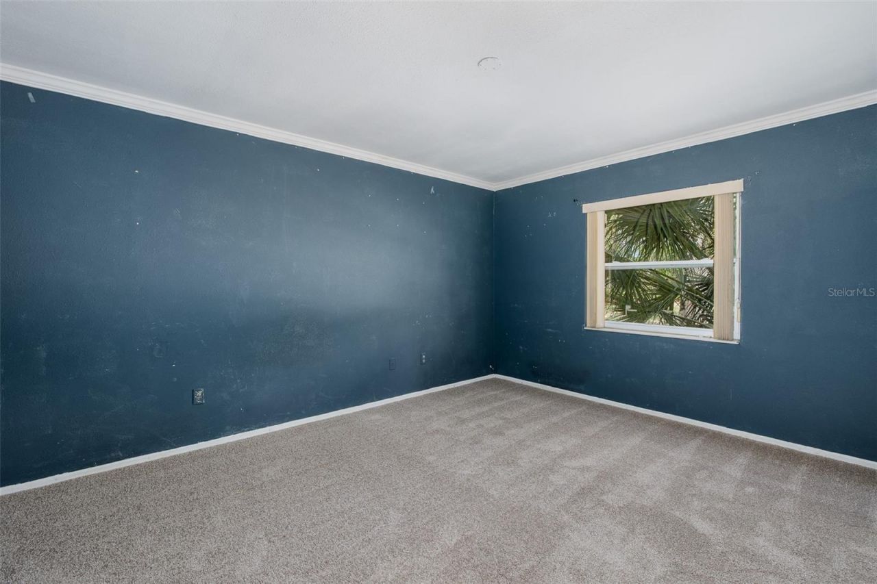 9947 Grove Drive, New Port Richey, FL 34654 Photo