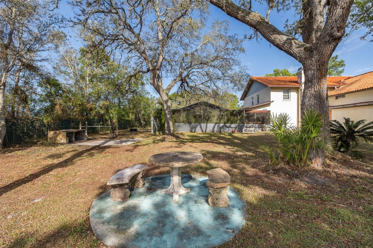 9947 Grove Drive, New Port Richey, FL 34654 Photo