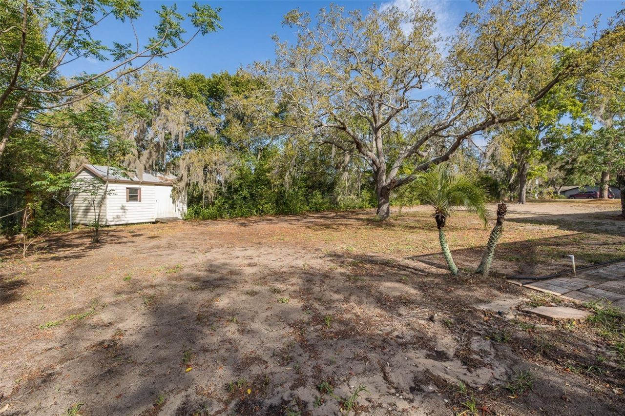 9947 Grove Drive, New Port Richey, FL 34654 Photo