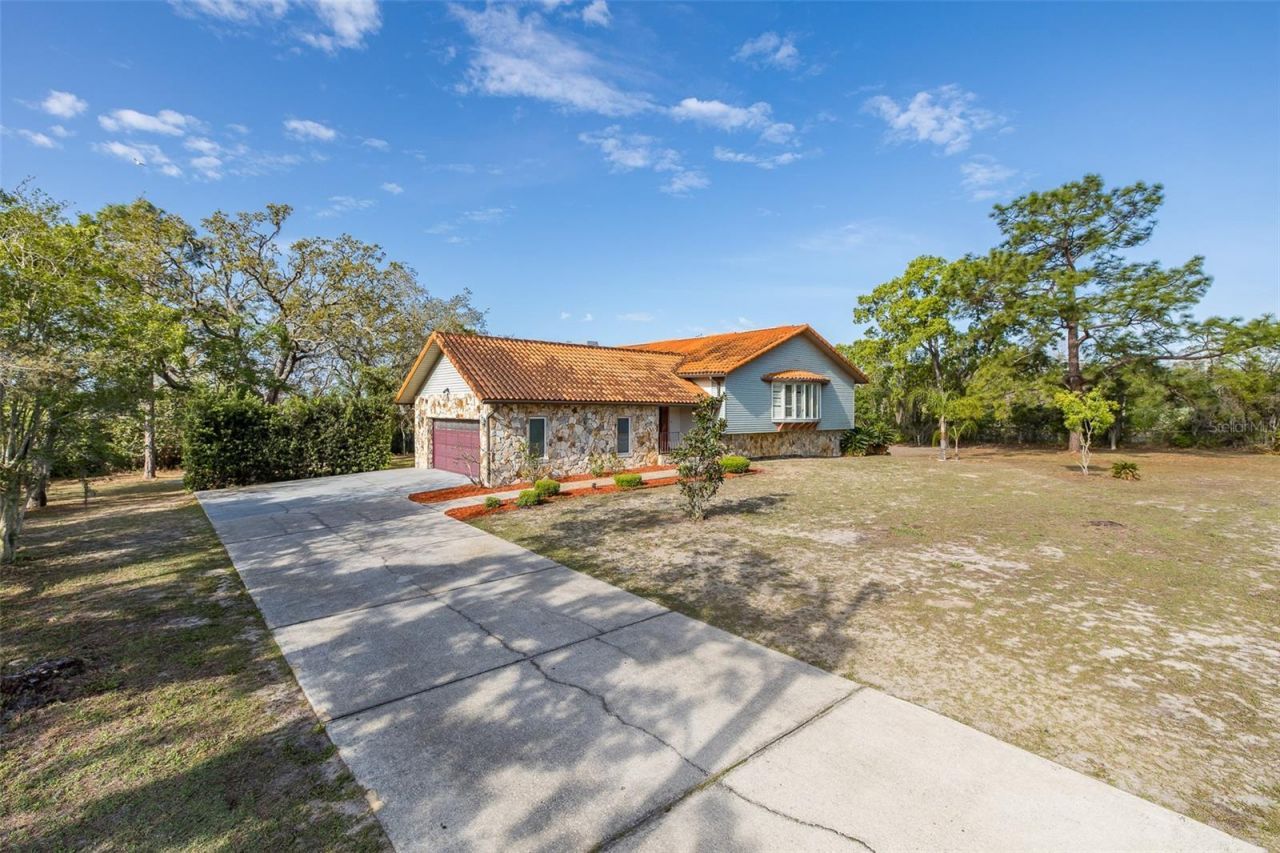 9947 Grove Drive, New Port Richey, FL 34654 Photo