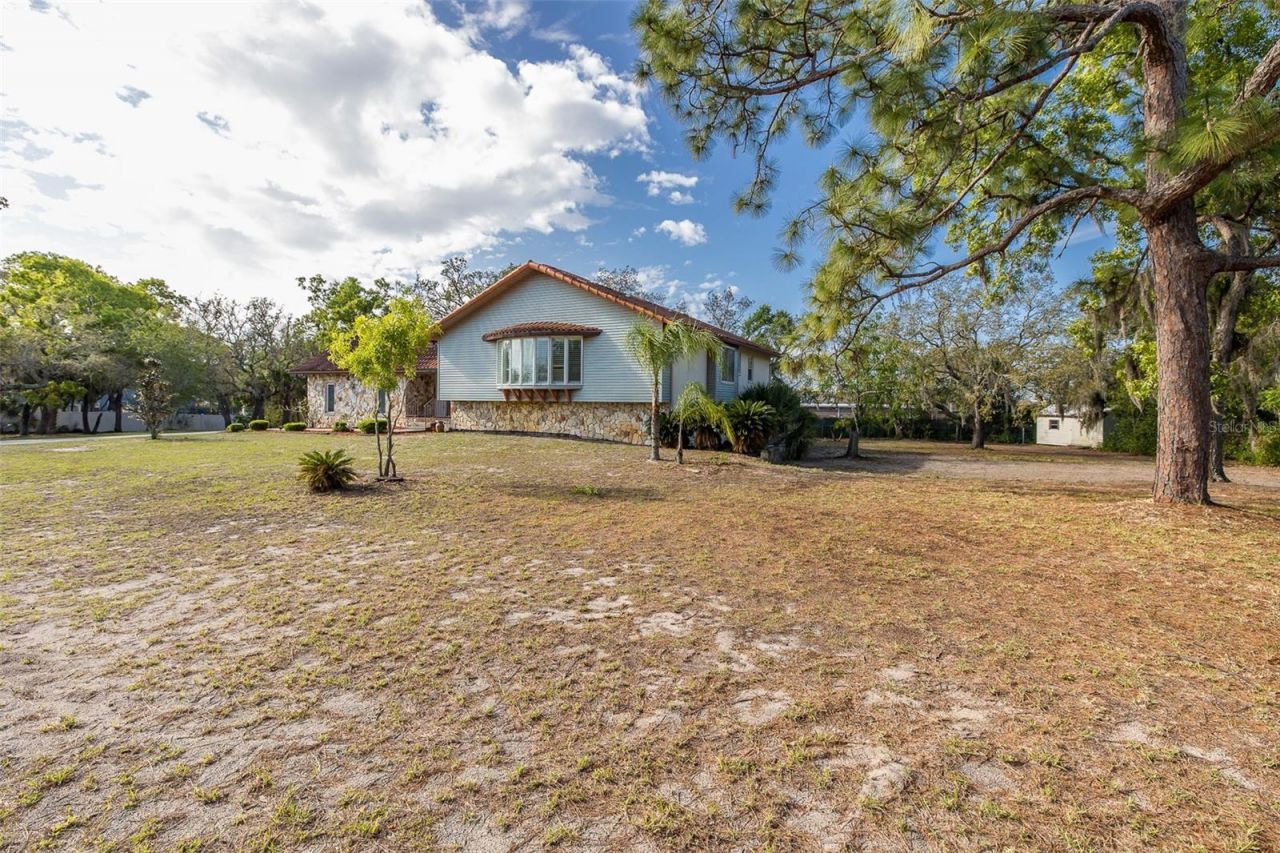 9947 Grove Drive, New Port Richey, FL 34654 Photo