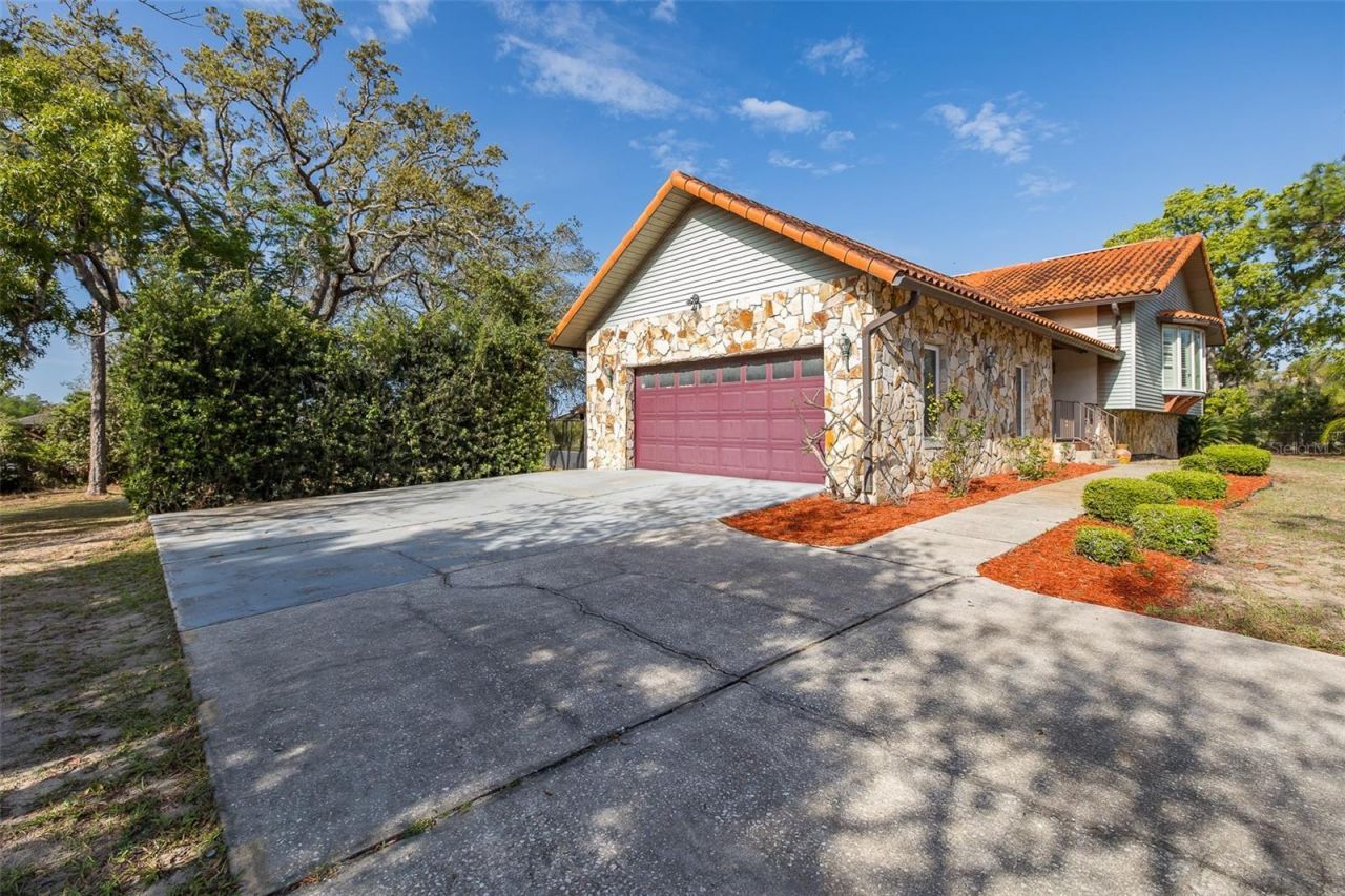 9947 Grove Drive, New Port Richey, FL 34654 Photo