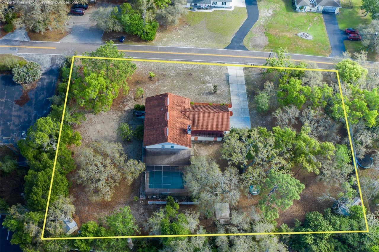 9947 Grove Drive, New Port Richey, FL 34654 Photo