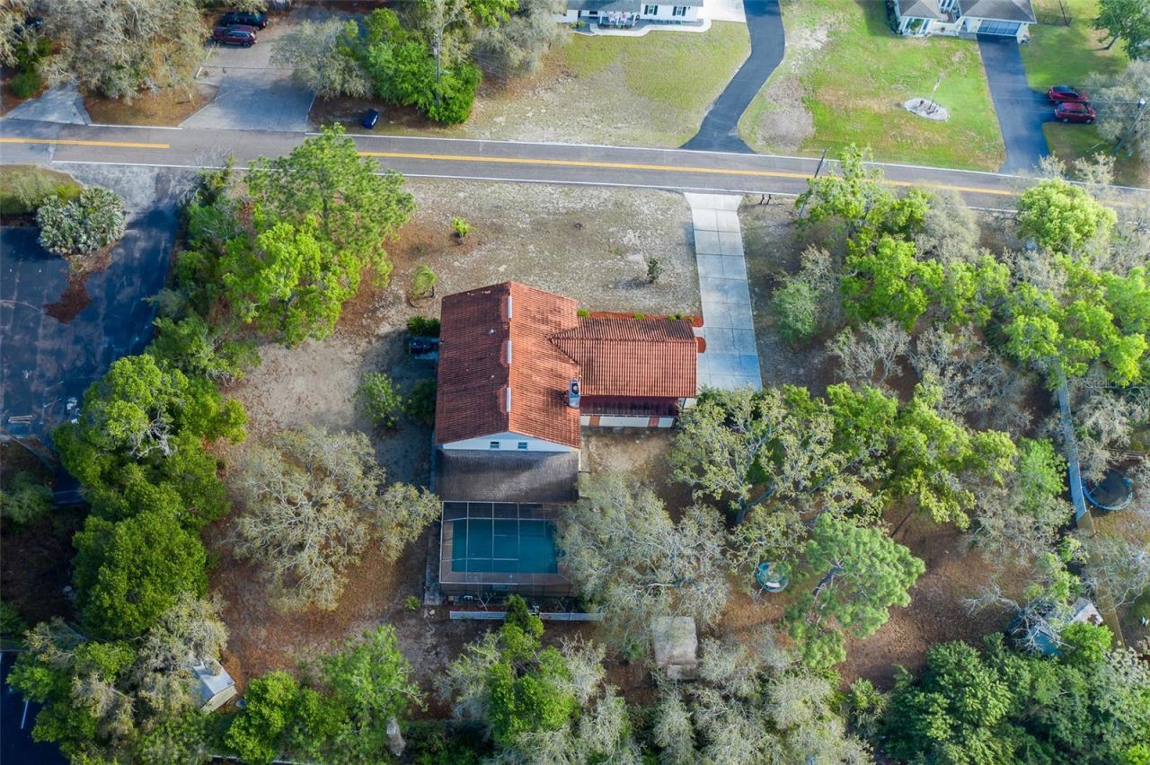 9947 Grove Drive, New Port Richey, FL 34654 Photo
