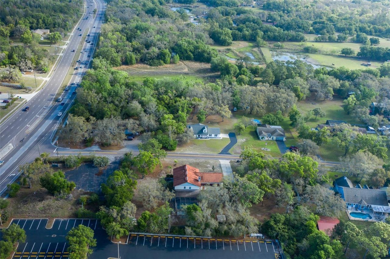 9947 Grove Drive, New Port Richey, FL 34654 Photo