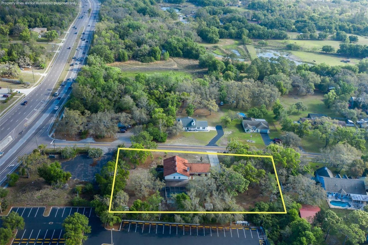 9947 Grove Drive, New Port Richey, FL 34654 Photo