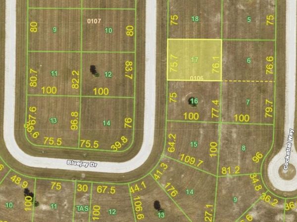 33 BLUEJAY DRIVE , PLACIDA, FL 33946