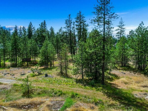 xxx S Chapman Rd, Medical Lake, WA 99025