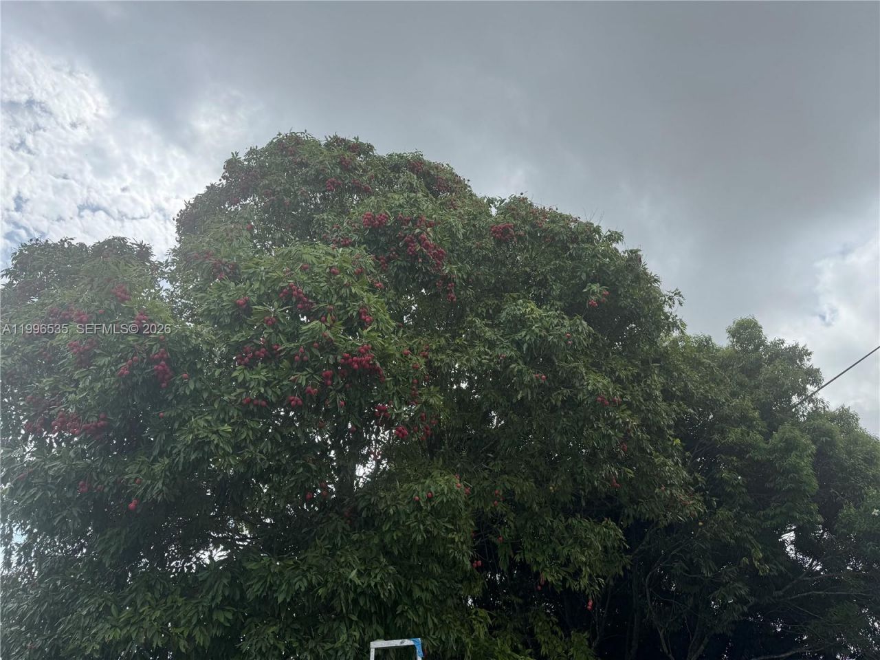 15001 SW 256th St, Homestead, FL 33032 Photo