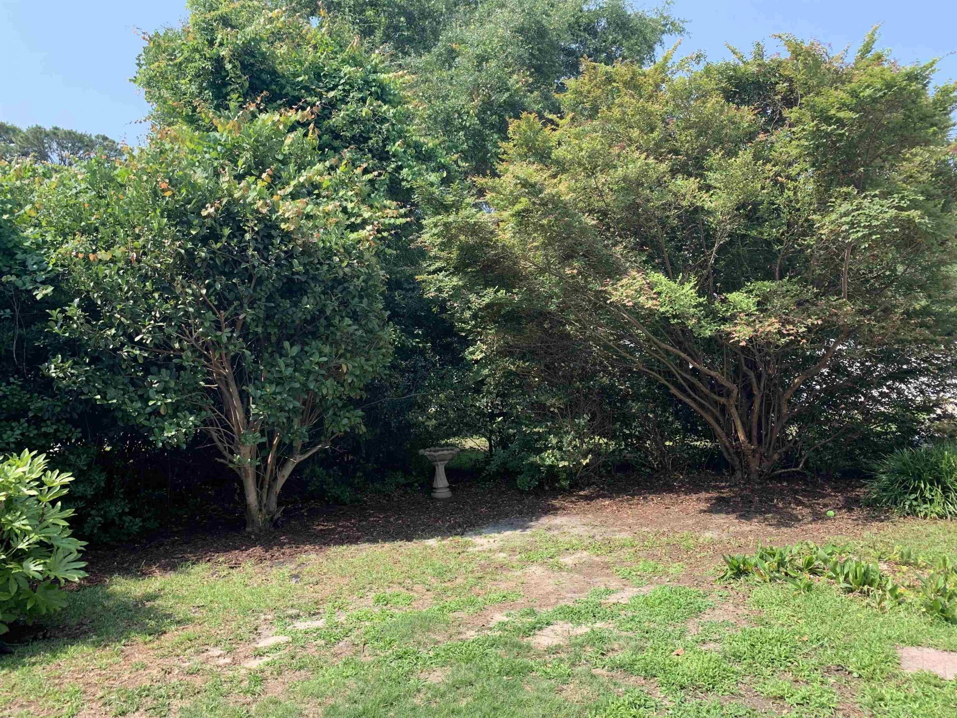 1432 Seahouse Ct.  Photo 29