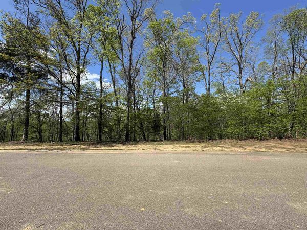 31 ENDLESS VIEW RDG, Savannah, TN 38372