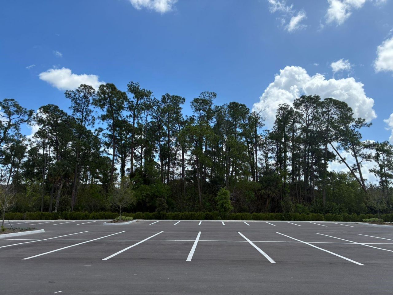5587 Millenia Park Boulevard, Unit 318, Orlando, FL 32839 Photo