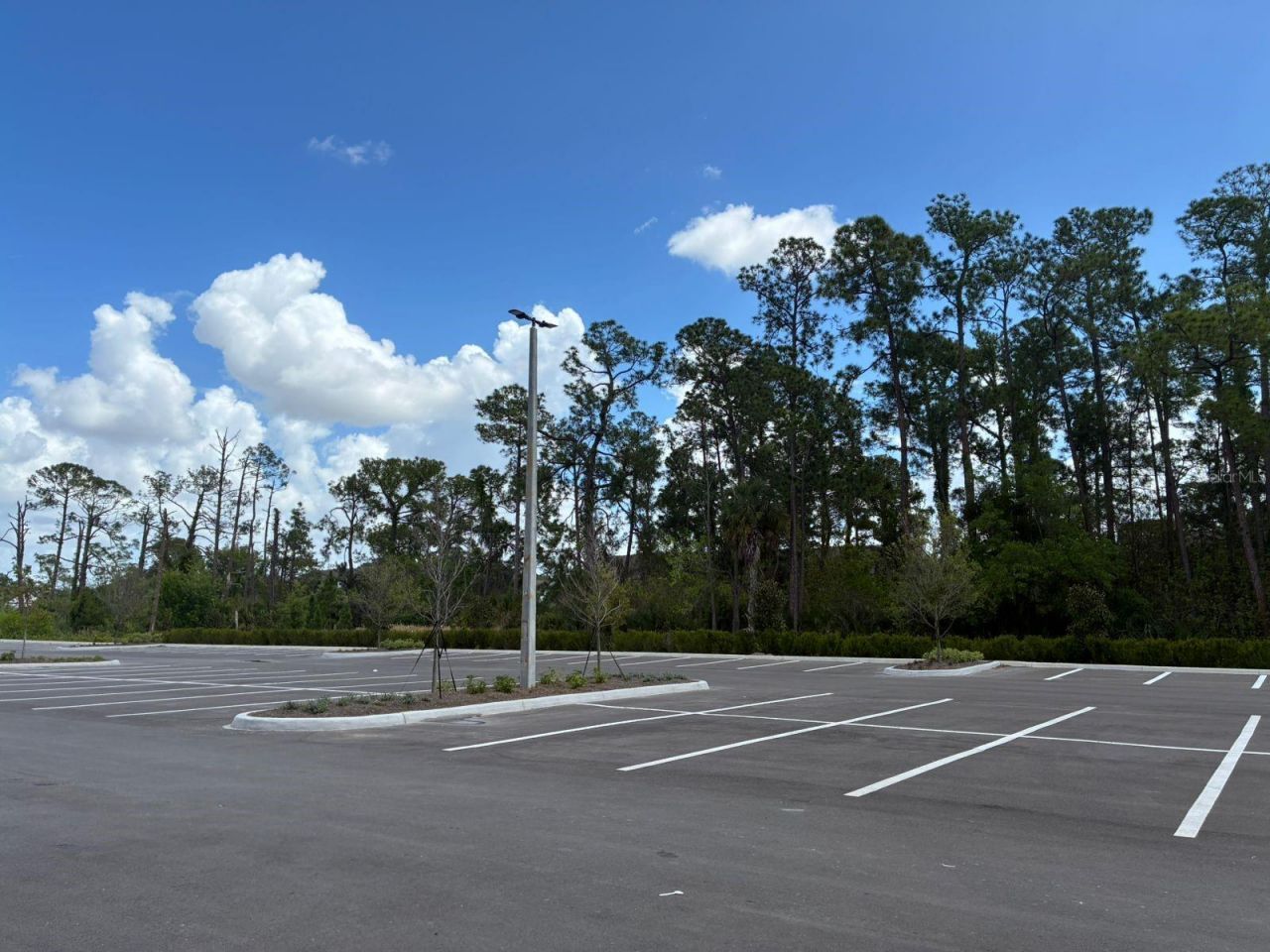 5587 Millenia Park Boulevard, Unit 318, Orlando, FL 32839 Photo