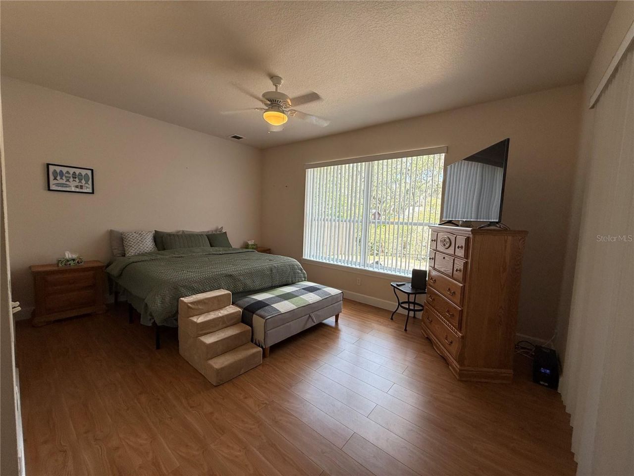 24907 NE 135th Street, Salt Springs, FL 32134 Photo