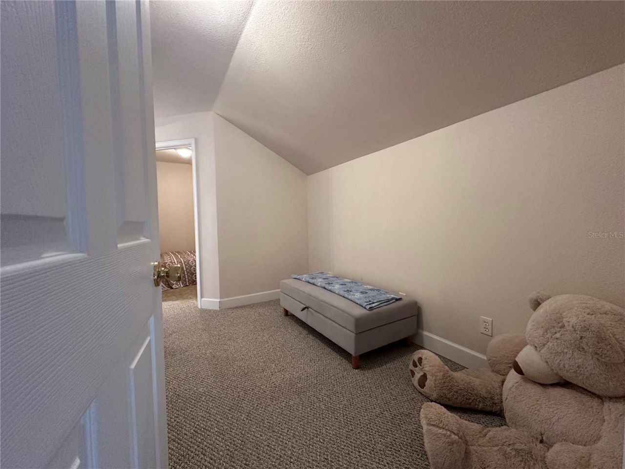 24907 NE 135th Street, Salt Springs, FL 32134 Photo