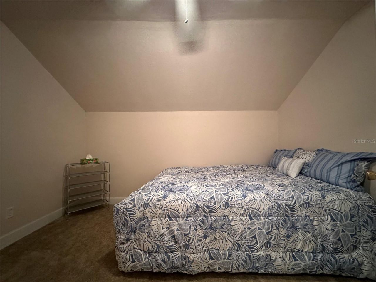 24907 NE 135th Street, Salt Springs, FL 32134 Photo