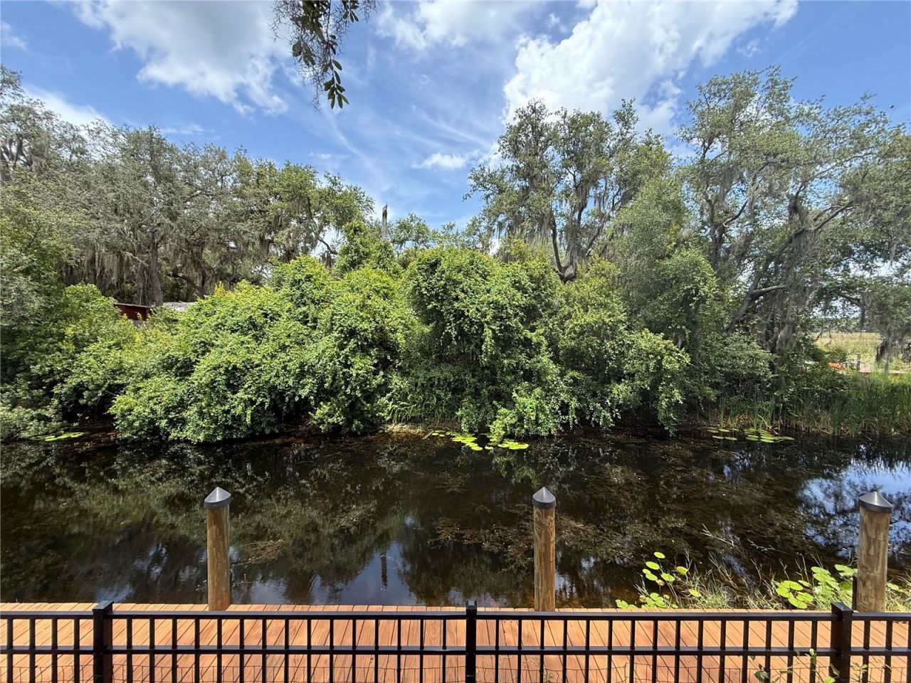 24907 NE 135th Street, Salt Springs, FL 32134 Photo