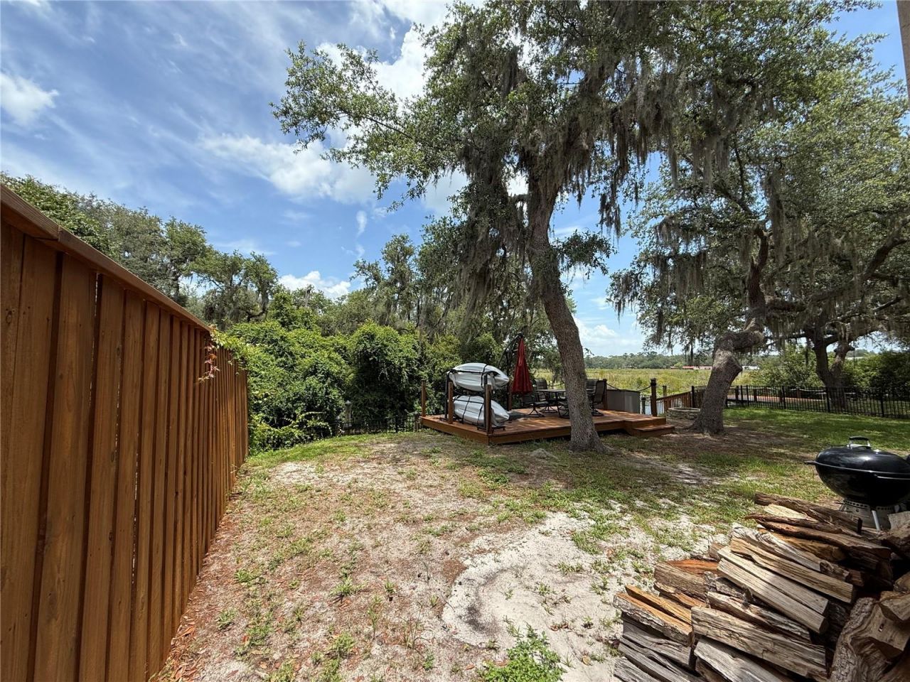 24907 NE 135th Street, Salt Springs, FL 32134 Photo