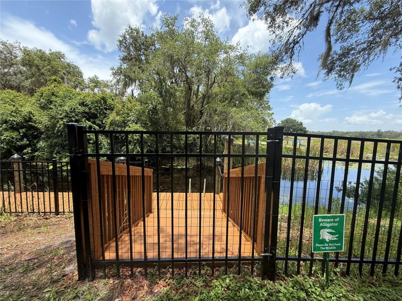 24907 NE 135th Street, Salt Springs, FL 32134 Photo