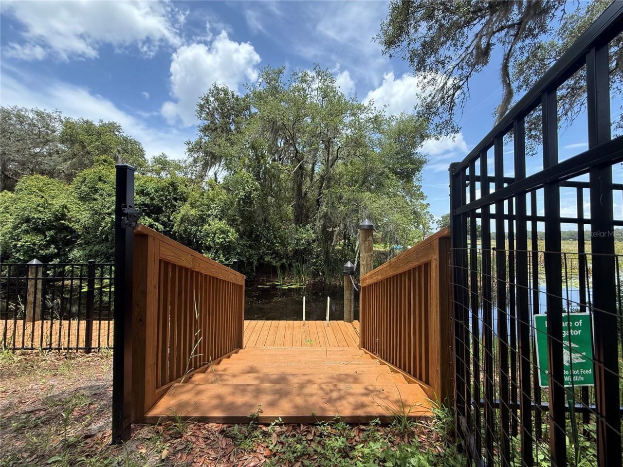 24907 NE 135th Street, Salt Springs, FL 32134 Photo