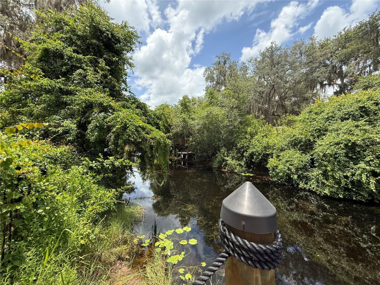 24907 NE 135th Street, Salt Springs, FL 32134 Photo