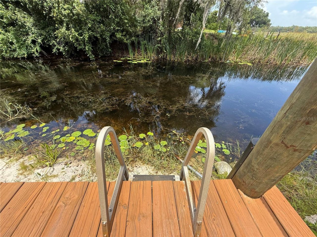 24907 NE 135th Street, Salt Springs, FL 32134 Photo
