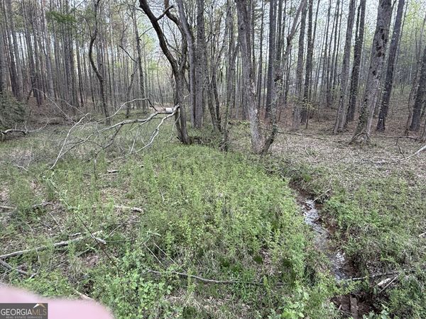 0 Henderson Mountain Road, Fairmount, GA 30139