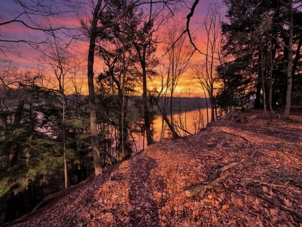 V/L S Teal Lane, Newaygo, MI 49337