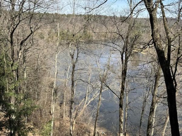 V/L S Teal Lane, Newaygo, MI 49337