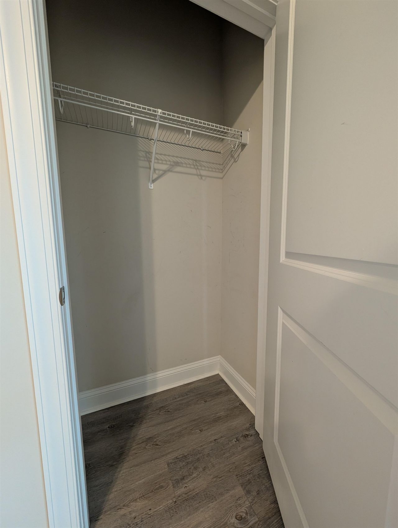 338 Kiskadee Loop  Photo 12