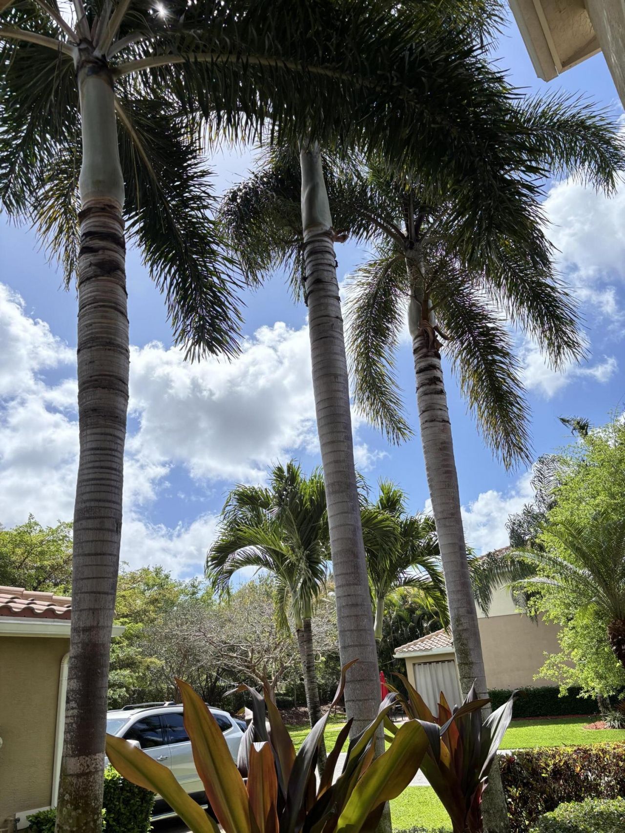 8219 Calabria Lakes Drive, Boynton Beach, FL 33473 Photo