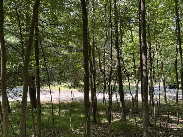 Rivers Edge Trail, Mt Pleasant, MI 48858