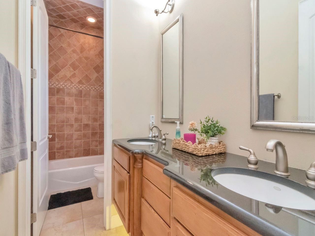 507 Driftwood Drive E, Palm Harbor, FL 34683 Photo