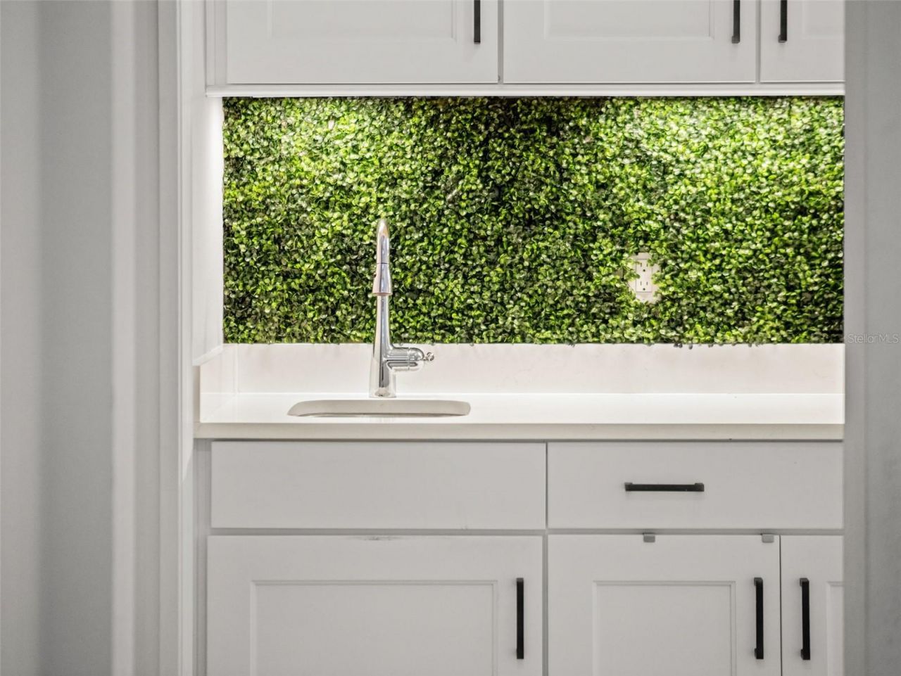 34595 Seneca Reserve Drive, Eustis, FL 32736 Photo