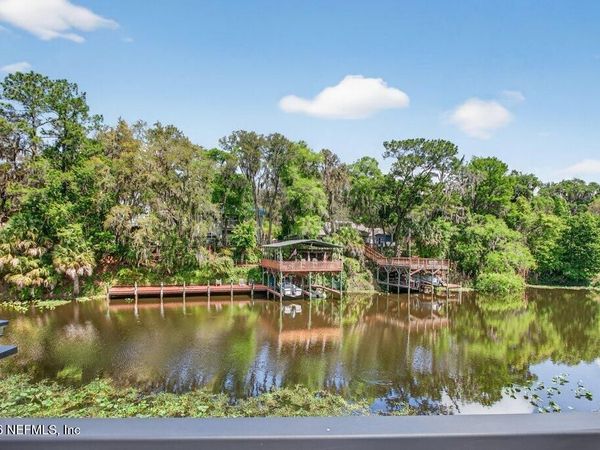 293 MAXWELL Drive, Welaka, FL 32193