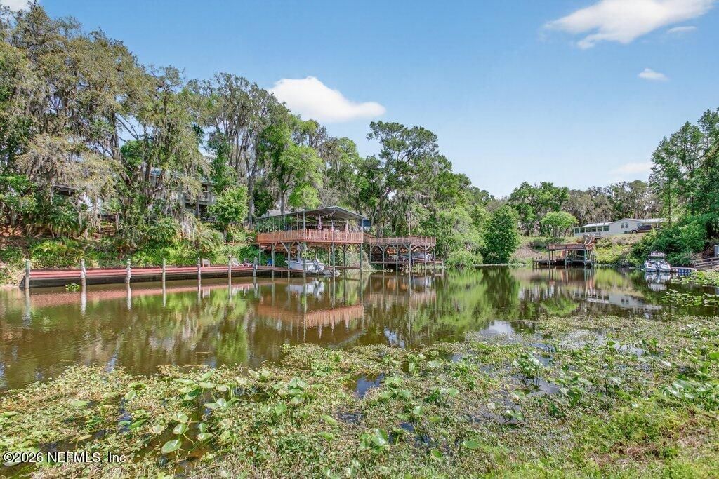 293 Maxwell Drive, Welaka, FL 32193 Photo