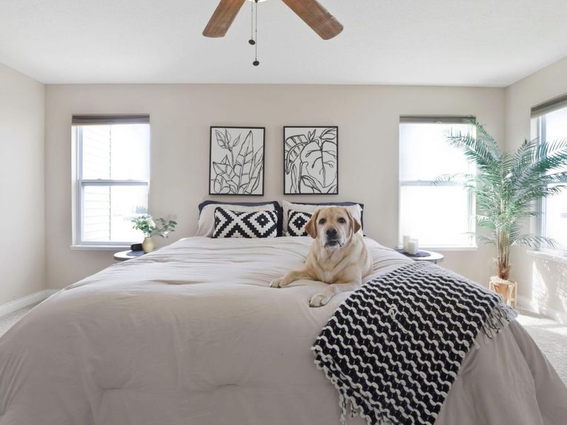 619 Black Hawk Drive, Marysville, OH 43040 Photo 20