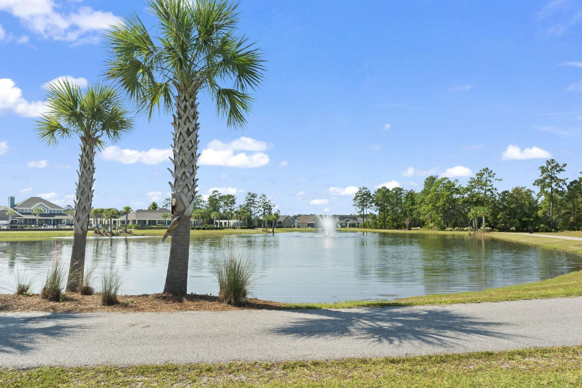 8040 Brogdon Dr  Photo 17