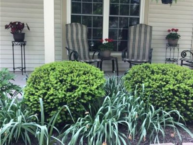 1060 Foxshire Place, Dayton, OH 45458 Photo 4