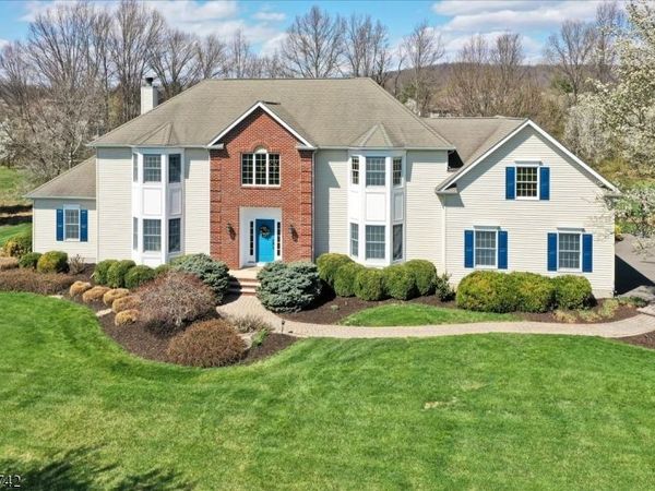 103 Stout Ln, Readington, NJ 08822