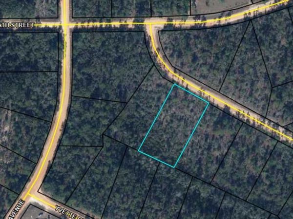 00 Fremont Avenue , Alford, FL 32420