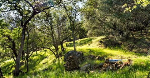 Iron Mine Rd, Auburn, CA 95602 Photo
