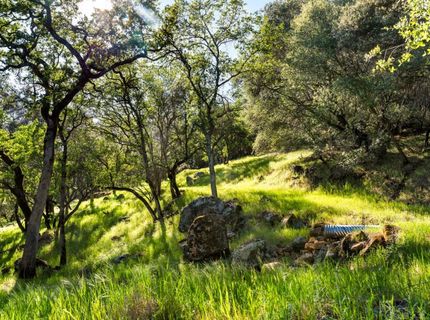 Iron Mine Rd, Auburn, CA 95602 Photo