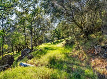 Iron Mine Rd, Auburn, CA 95602 Photo