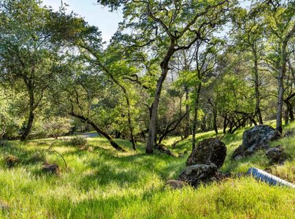 Iron Mine Rd, Auburn, CA 95602 Photo