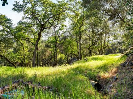 Iron Mine Rd, Auburn, CA 95602 Photo
