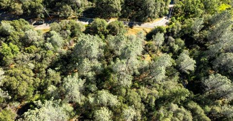 Iron Mine Rd, Auburn, CA 95602 Photo